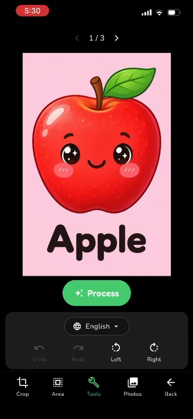 A page showing an apple flashcard with the Process button ready to recognise the word